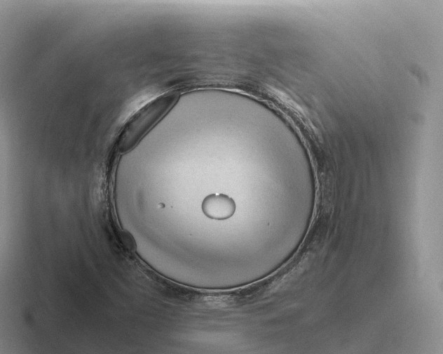 X0000116681453201001041139