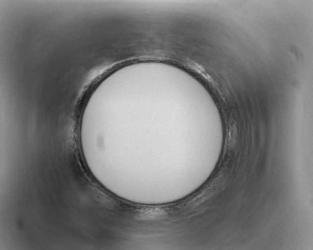 X0000116681454201001041139