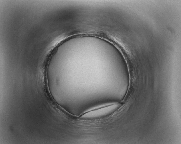 X0000116681455201001041139