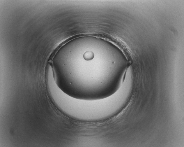 X0000116681457201001041139