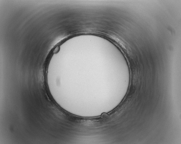 X0000116681458201001041139