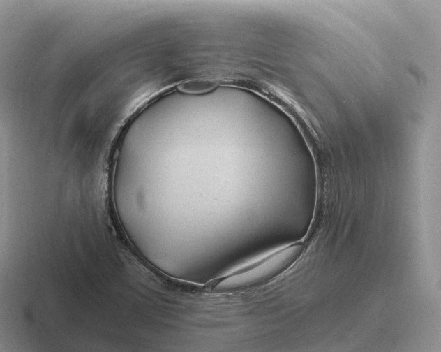 X0000116681459201001041139