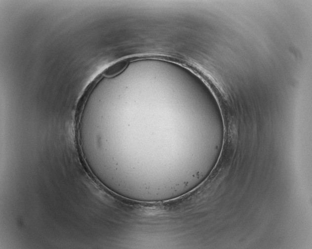 X0000116681460201001041139