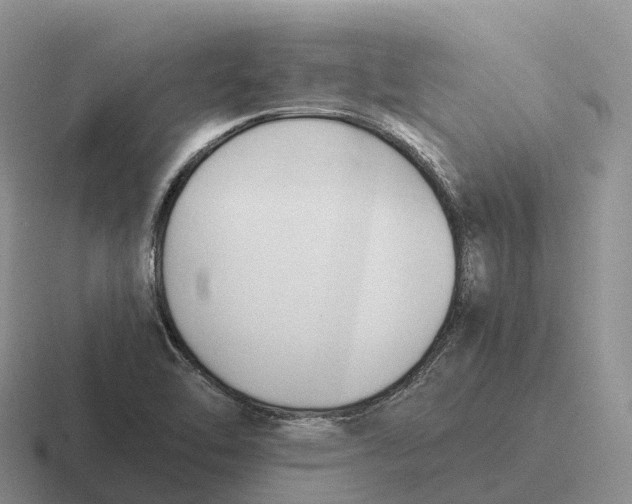 X0000116681462201001041139