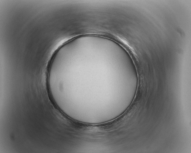 X0000116681463201001041139