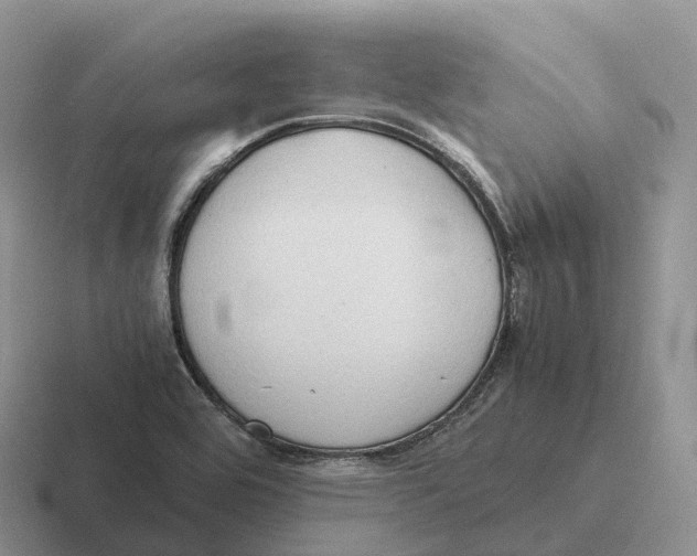 X0000116681464201001041139