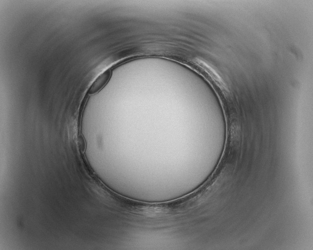 X0000116681465201001041139