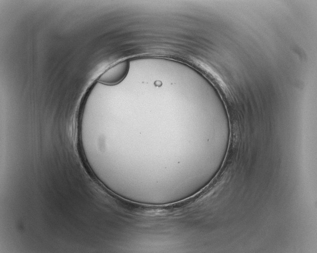 X0000116681467201001041139