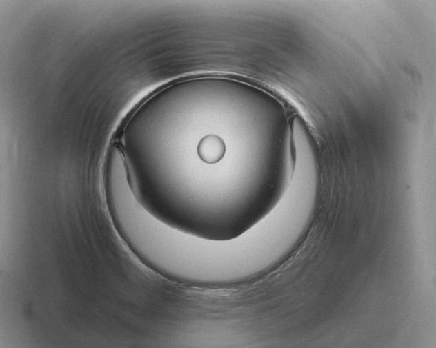 X0000116681468201001041139