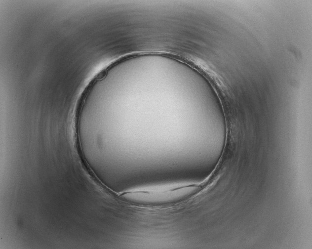 X0000116681469201001041139