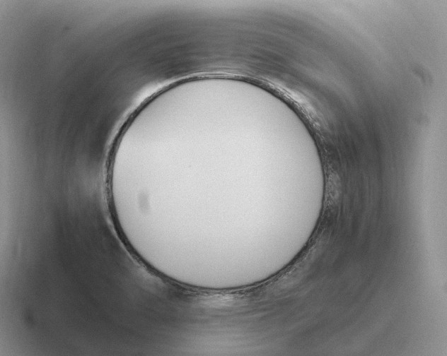 X0000116681470201001041139