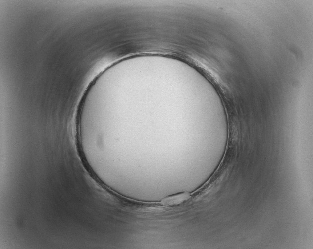 X0000116681471201001041139