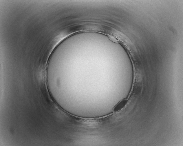 X0000116681473201001041139