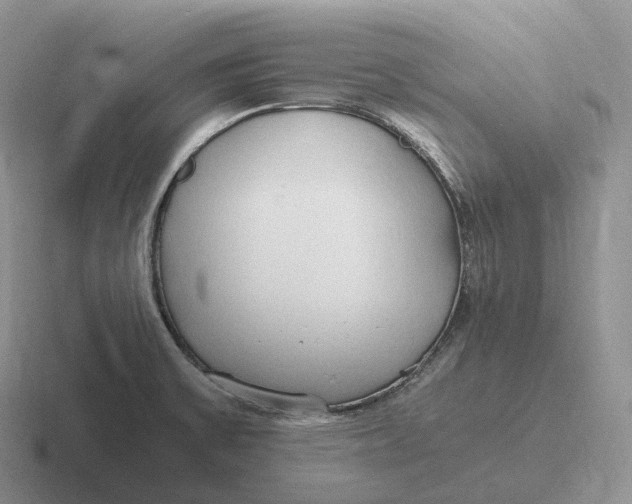 X0000116681475201001041139