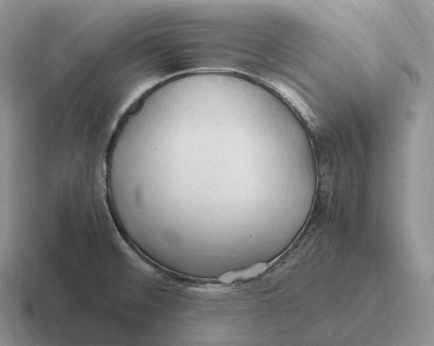 X0000116681476201001041139