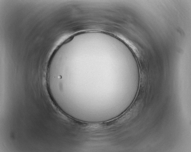 X0000116681477201001041139