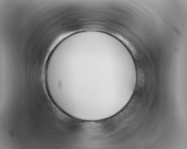 X0000116681478201001041139