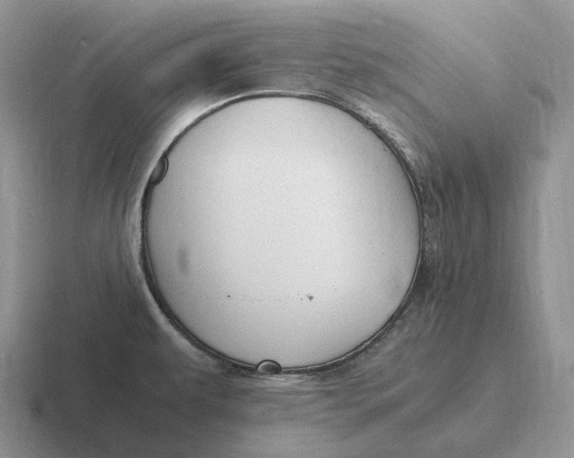 X0000116681479201001041139