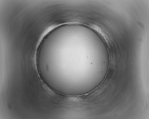 X0000116681480201001041139