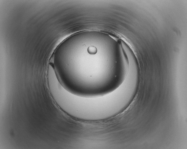 X0000116681481201001041139