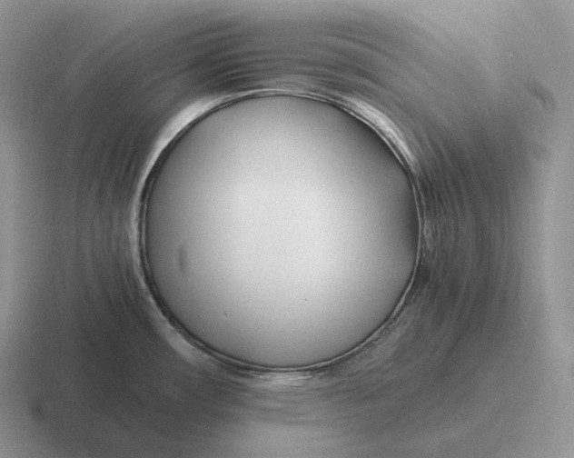 X0000116681482201001041139