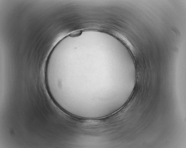 X0000116681483201001041139