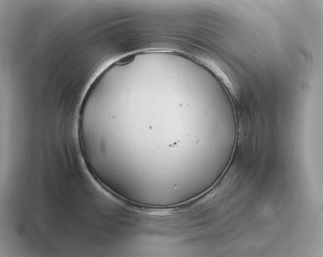 X0000116681484201001041139