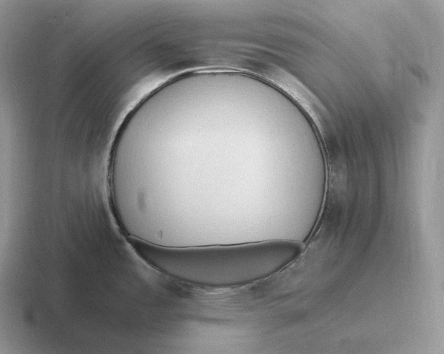 X0000116681485201001041139