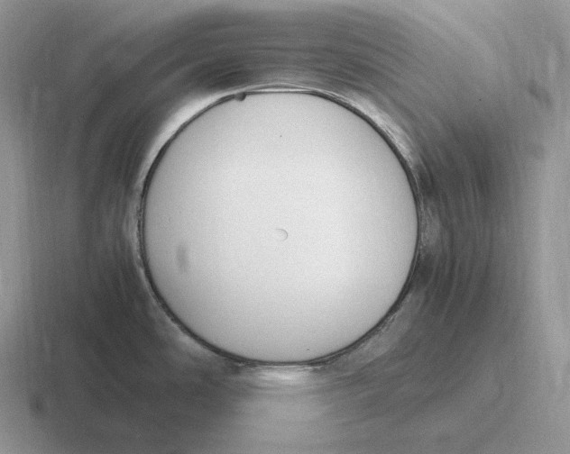 X0000116681486201001041139