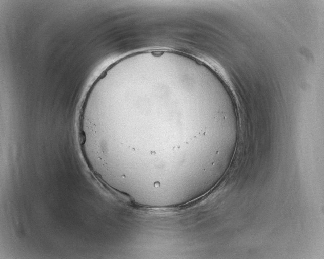 X0000116681488201001041139