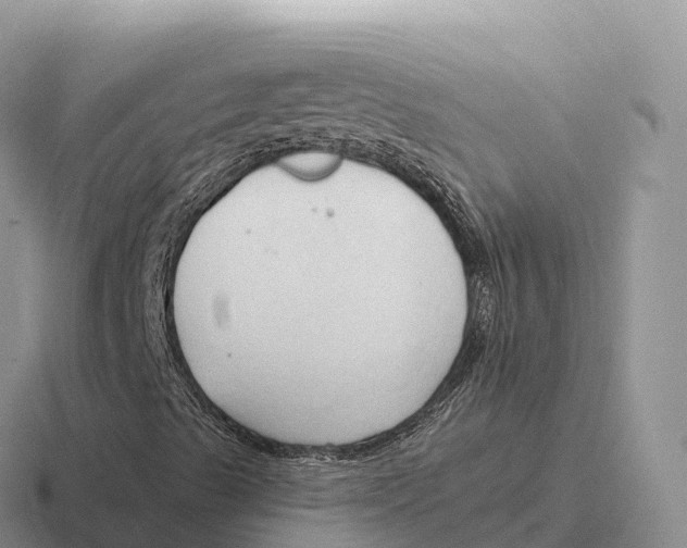 X0000116681489201001041138