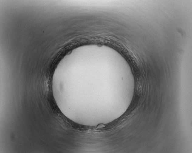 X0000116681490201001041138