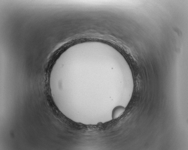 X0000116681494201001041138