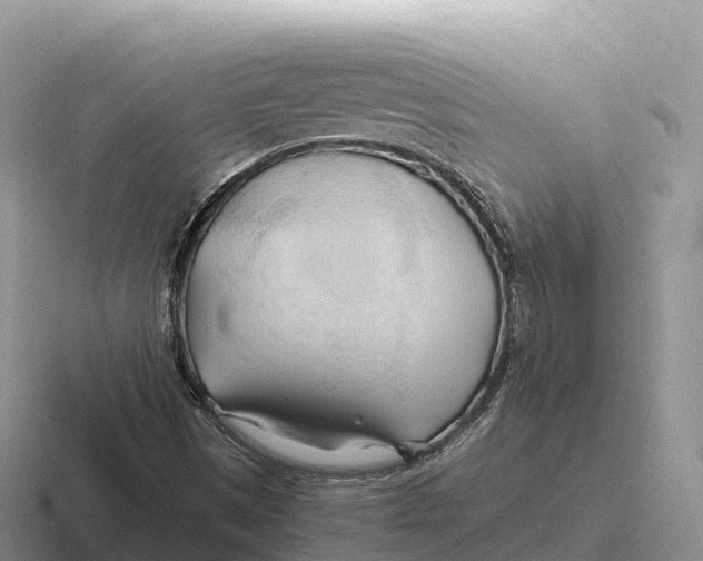 X0000116681497201001041138