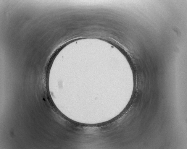 X0000116681498201001041138