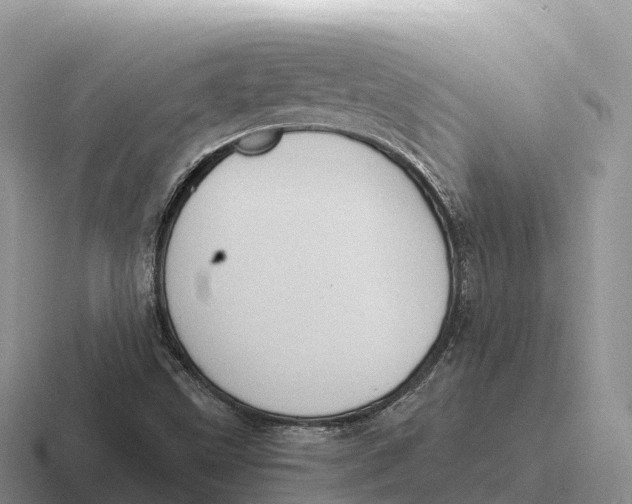 X0000116681499201001041138