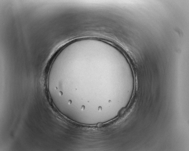 X0000116681501201001041138