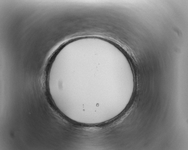 X0000116681502201001041138