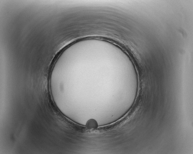 X0000116681505201001041138