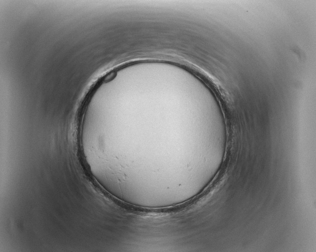 X0000116681506201001041138