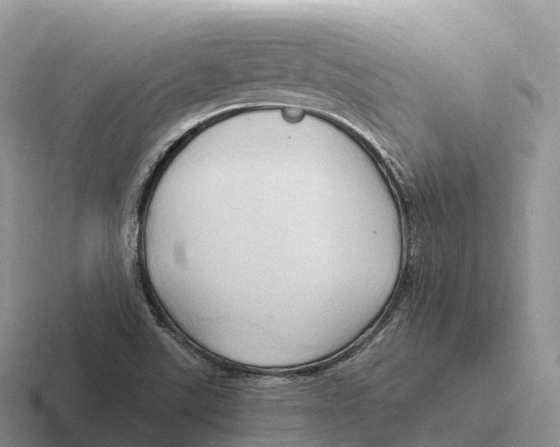 X0000116681507201001041138