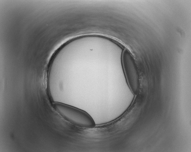 X0000116681510201001041139