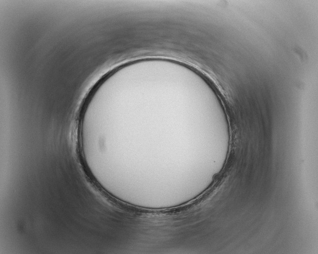 X0000116681511201001041139