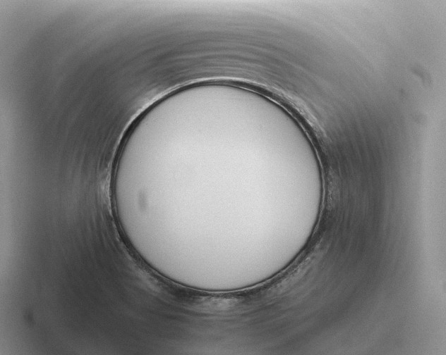 X0000116681513201001041139