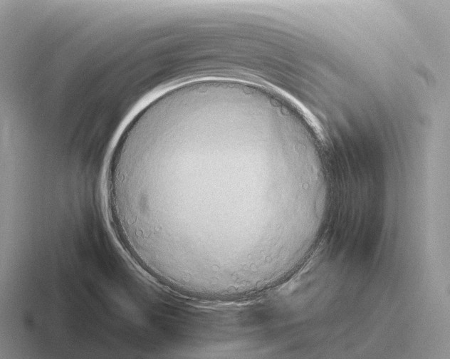 X0000116681514201001041139