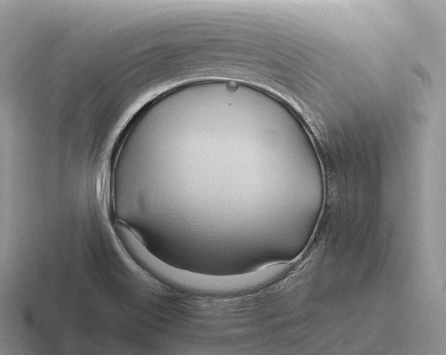 X0000116681515201001041139