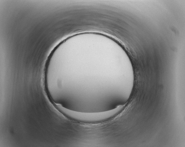 X0000116681518201001041139