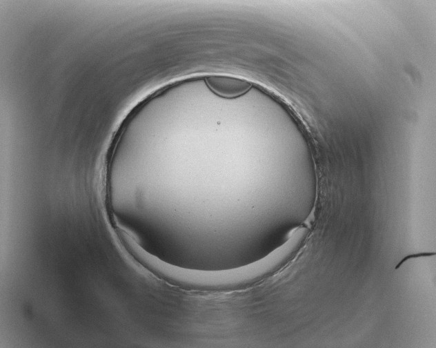 X0000116681519201001041139