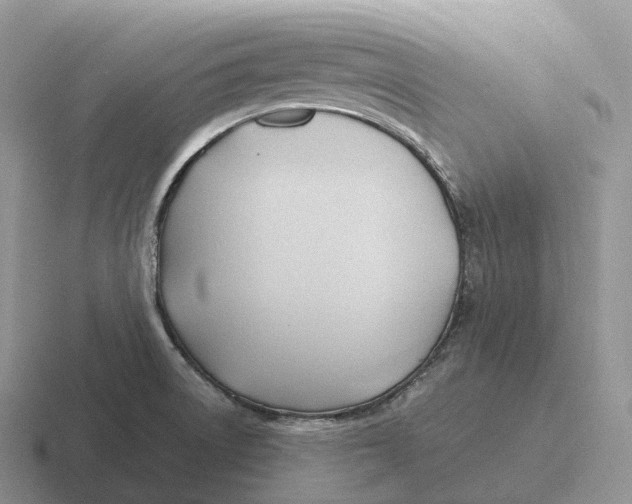 X0000116681522201001041139