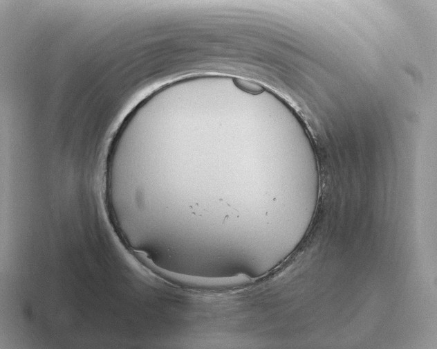 X0000116681523201001041139